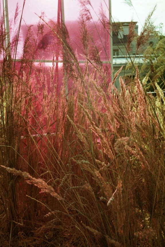 Реальная свадьба от агентства Feerique