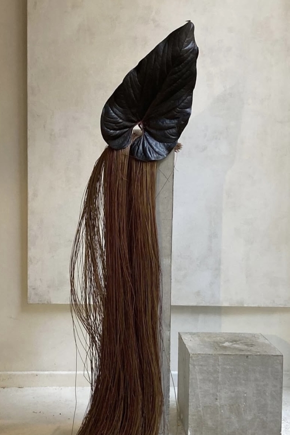 Какие цветы дарить, чтобы они не завяли