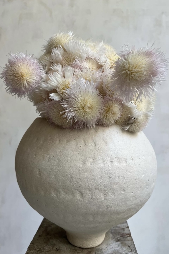 Какие цветы дарить, чтобы они не завяли