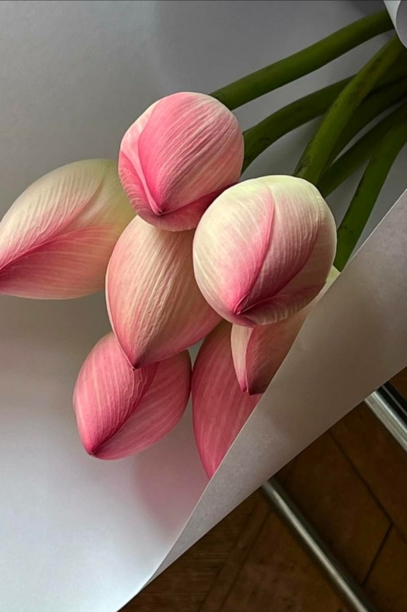 Какие знаки зодиака совместимы в любви?