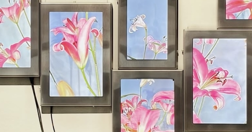 II Международная биеннале в МАММ и другие