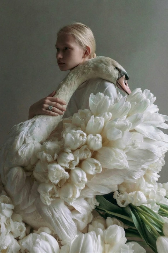 Bridal Shower 2026: идеи, декор и отличия от девичника