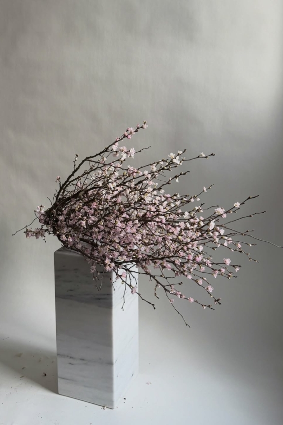 Лучшие цветы в Москве: топ премиум-доставок и студий