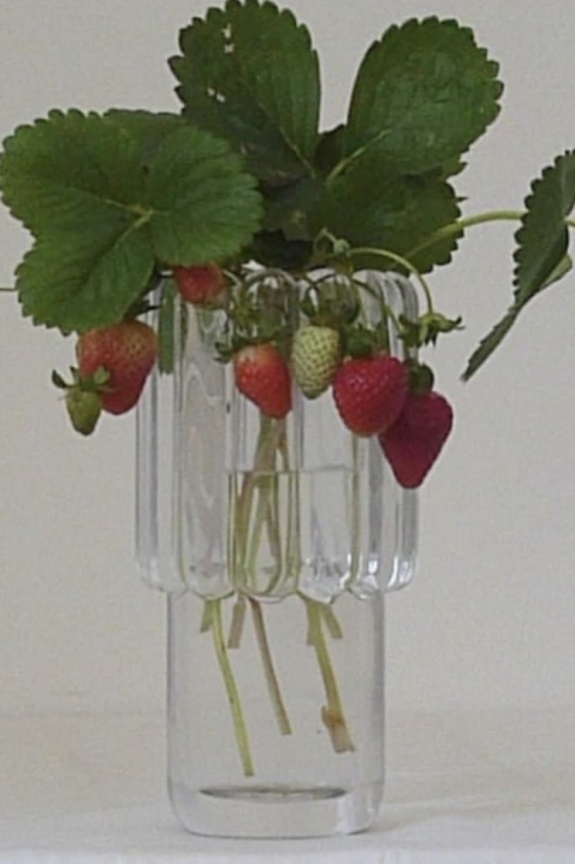 Что нужно успеть сделать этим летом? Сезонный