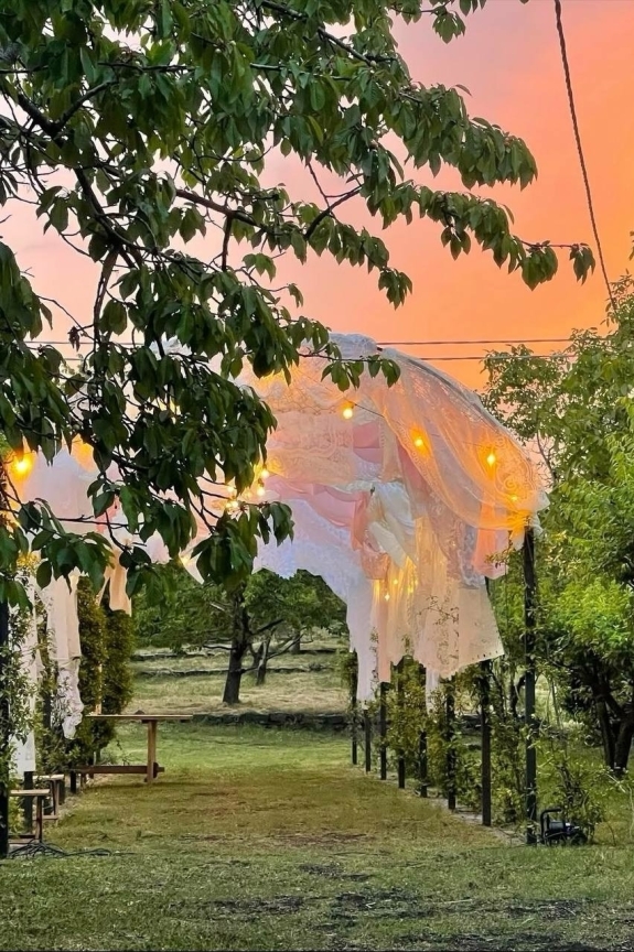 Идеи для декора на летнюю свадьбу 2025