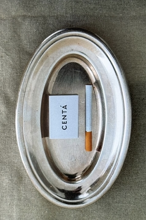 Welcome speech жениха и невесты: как написать