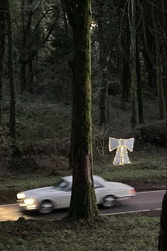 Нигири, бао, моти, димсамы и все-все-все. 10