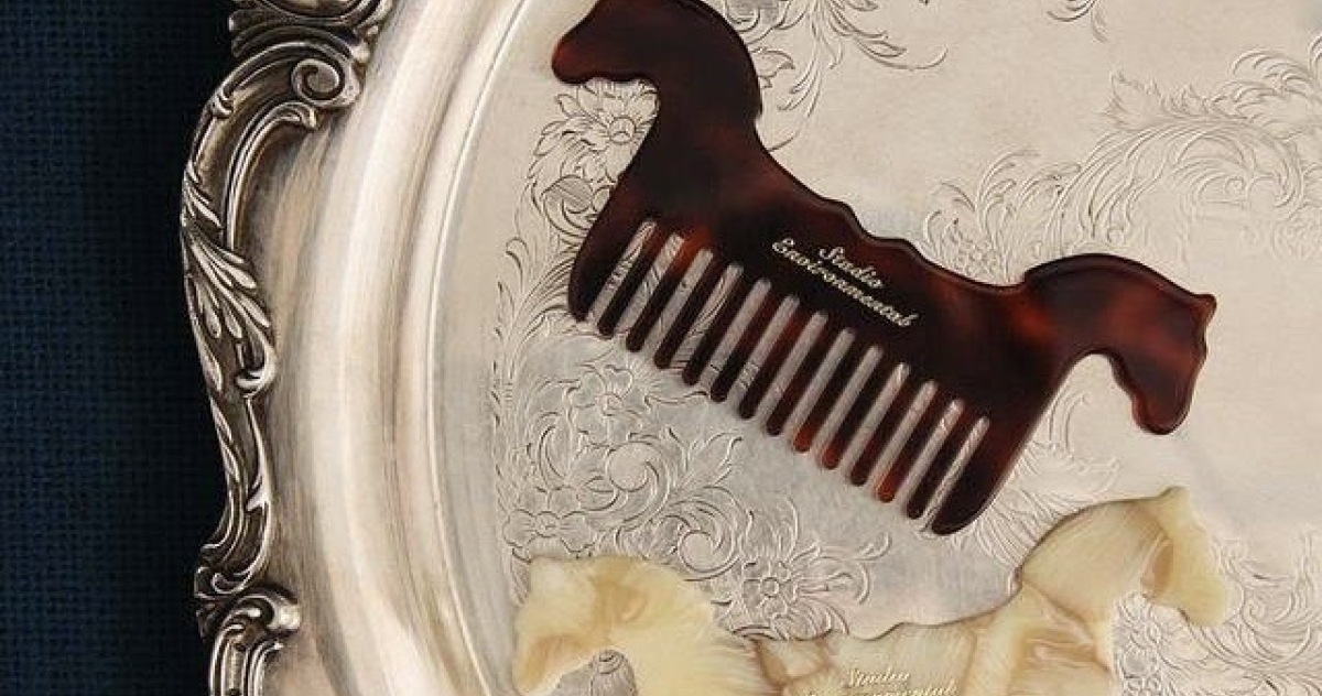 На коне: стильные аксессуары с символом 2026