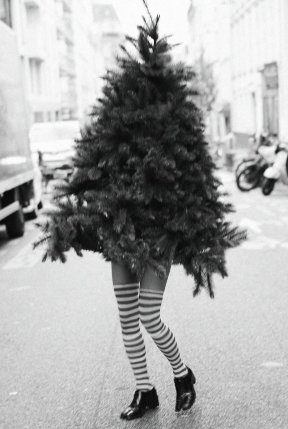 Новый год 2026 | Какой год 2026 | 2026 год кого | Новый год лошади 2026 | Как встречать 2026 | Красная Огненная Лошадь | 2026 год какого животного | Цвет нового года 2026