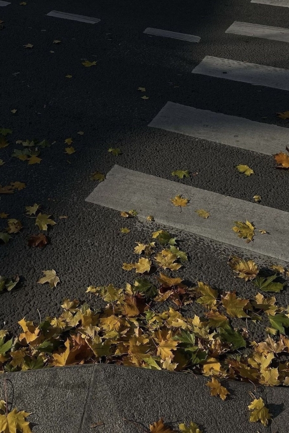 Модные рестораны и бары Москвы, где стоит