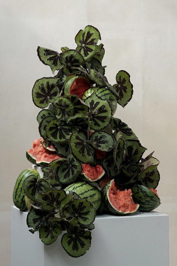 Можно вообще все: небанальные (и чуть-чуть безумные)