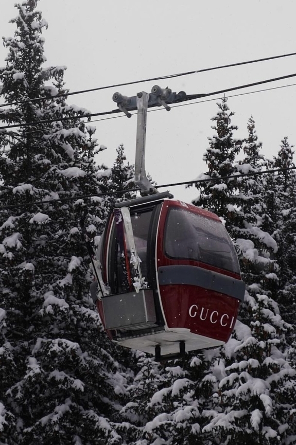 Как дома, только лучше: новогодние программы в