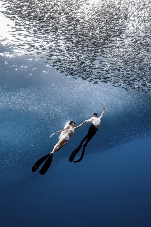 Где сделать предложение