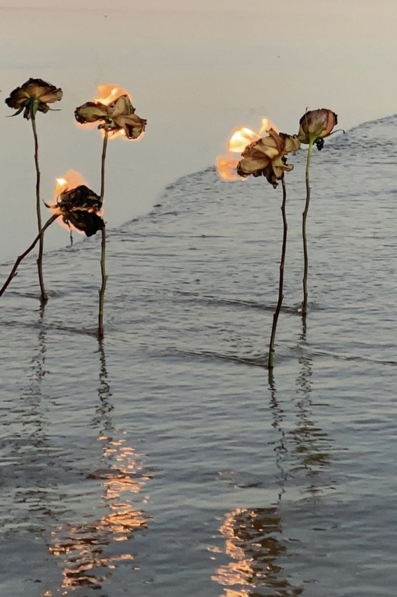 Beauty alarm! Как выбрать стилиста на свадьбу?