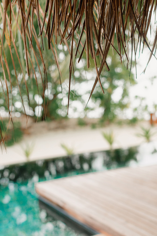 White Label Travel о том, как создается