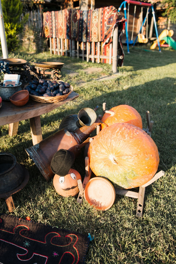 Дмитрий и Екатерина. Грузия