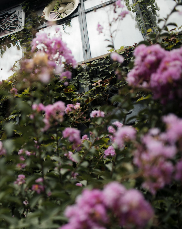 Дмитрий и Екатерина. Грузия