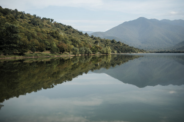 Дмитрий и Екатерина. Грузия