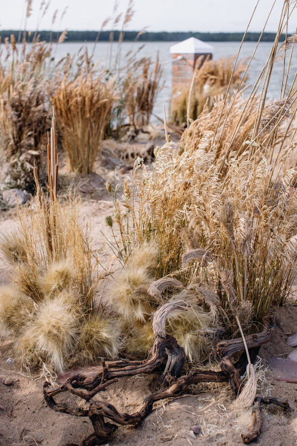 Как сделать свадьбу экологичной