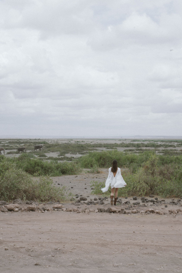 Свадьба в Африке c зебрами, жирафами и