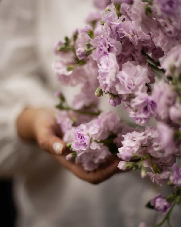 Где заказать красивый букет цветов с доставкой