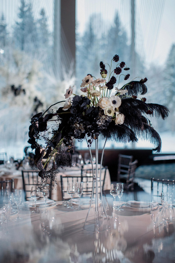 Все, что вы хотели знать о цветах