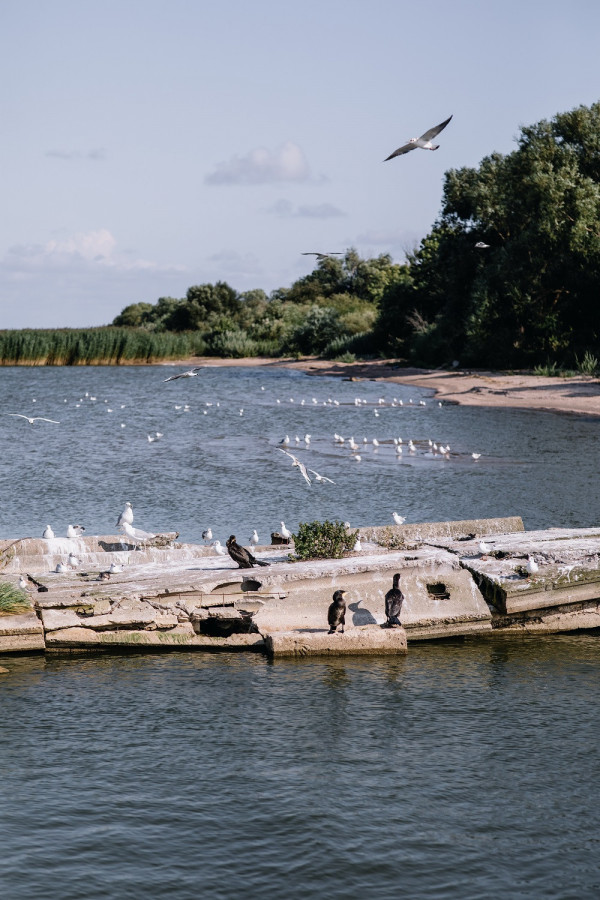 Как сделать свадьбу экологичной