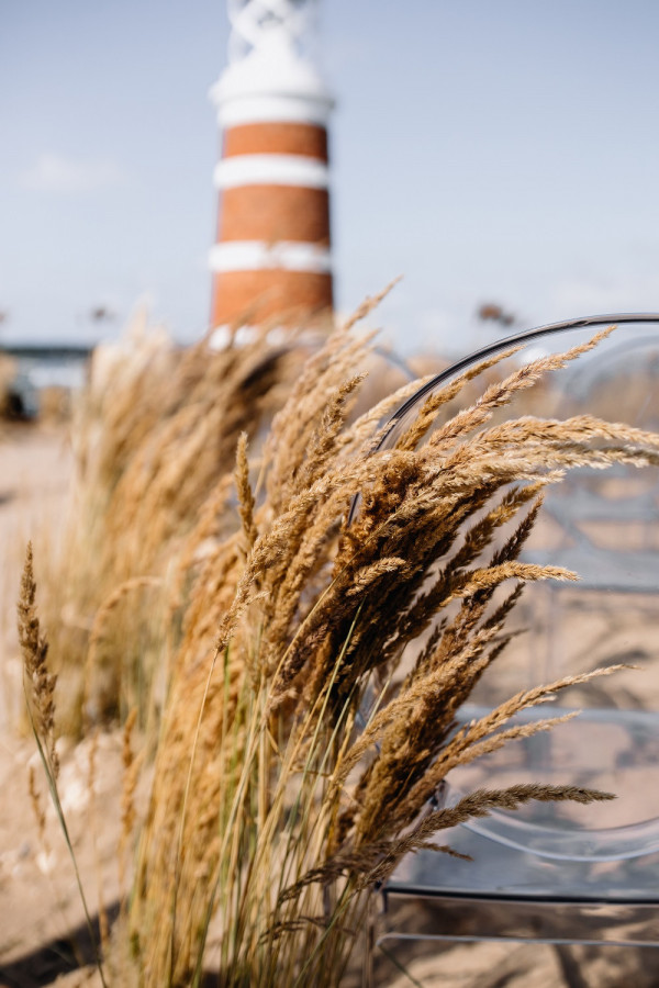 Как сделать свадьбу экологичной