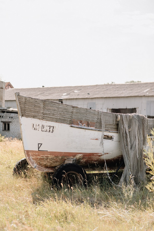 Как сделать свадьбу экологичной