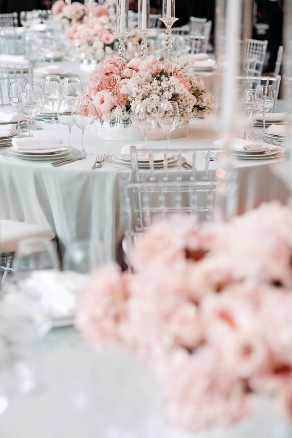 Все, что вы хотели знать о цветах