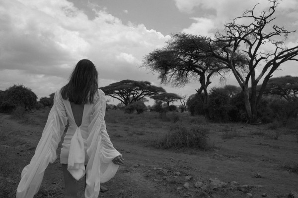 Свадьба в Африке c зебрами, жирафами и