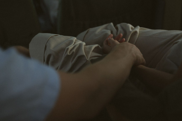 Свадьба в Африке c зебрами, жирафами и