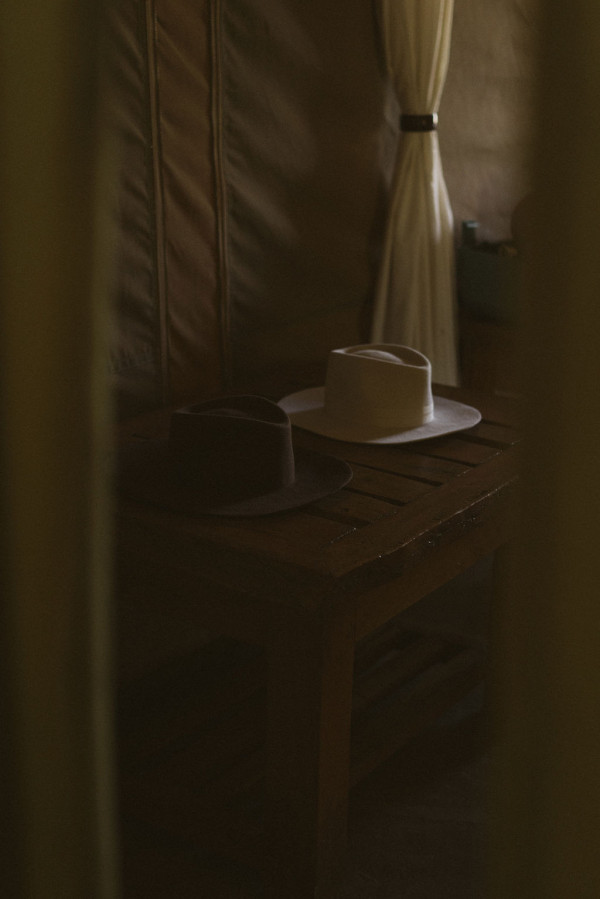 Свадьба в Африке c зебрами, жирафами и