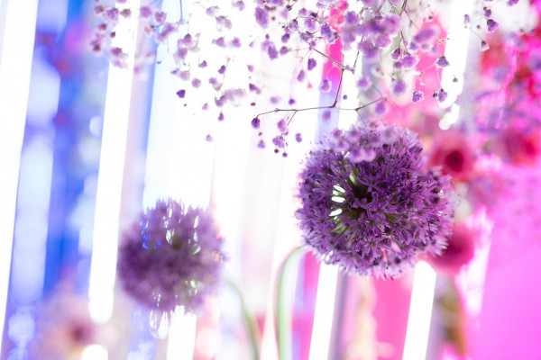 День рождения Кристины Асмус с ярким декором