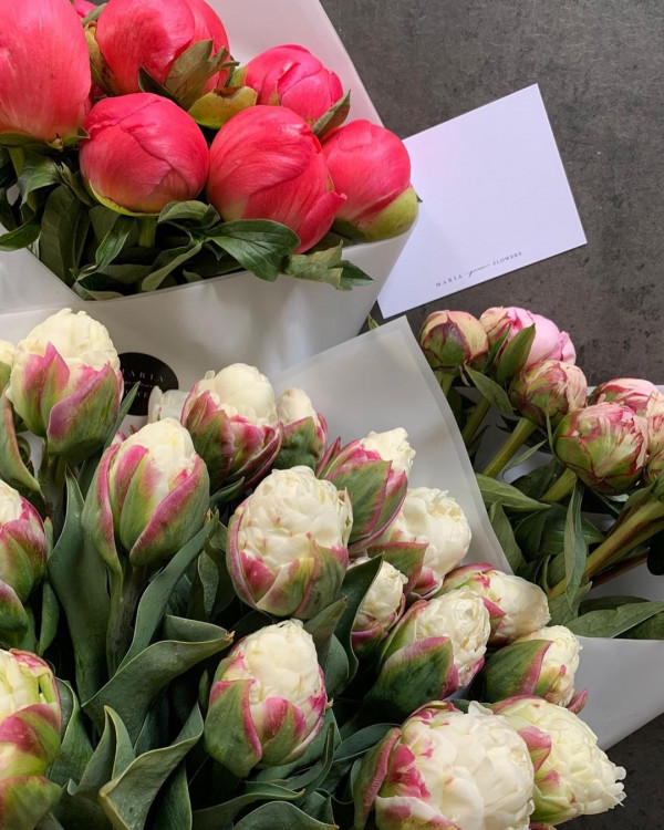 Декоратор Мария Герман о моде, общении с