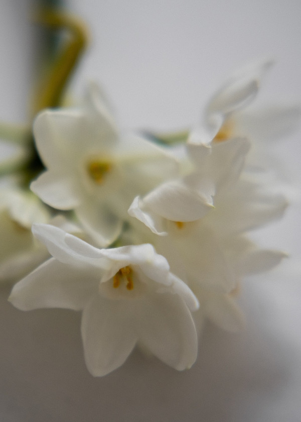 Свадебные образы для невест, которые ценят свою