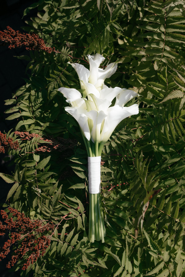 Летняя свадьба с утром невесты посреди озера