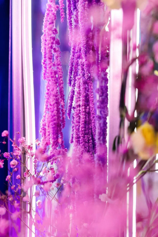 День рождения Кристины Асмус с ярким декором