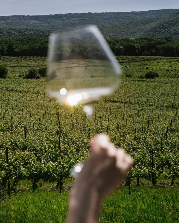 Российские вина, которые понравятся даже снобам