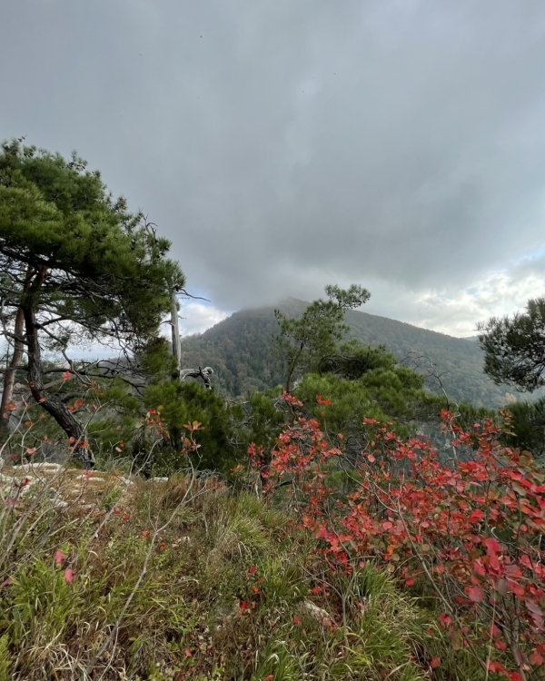 Медовый месяц в Сочи: где остановиться и