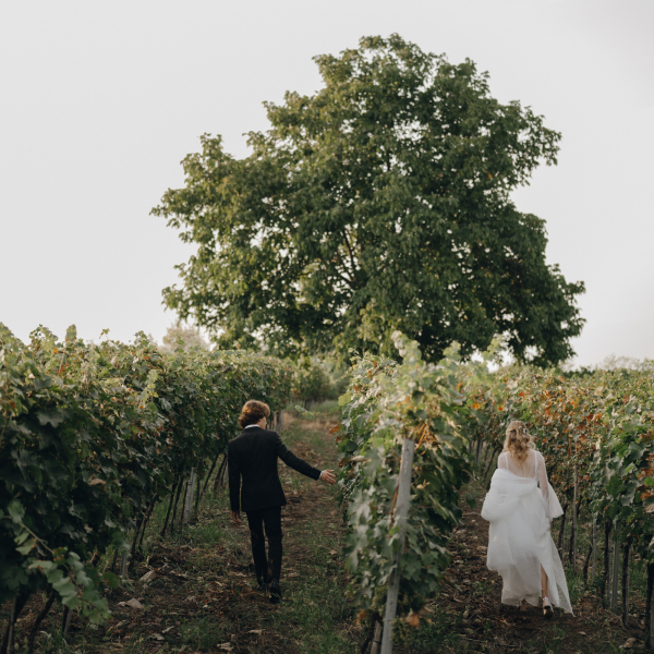 Фотографы Артем Виндриевский