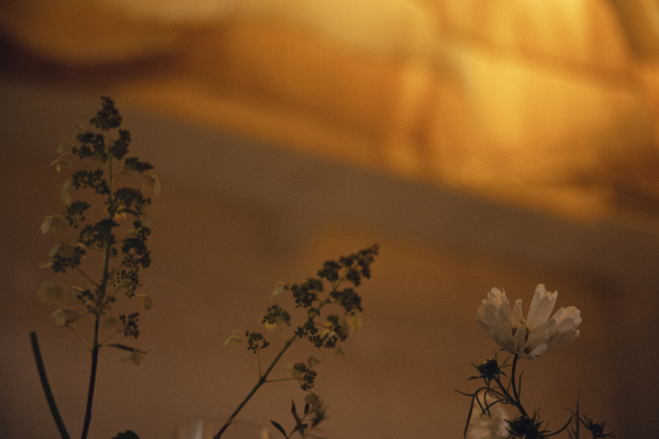 Классика с заводным характером на свадьбе с