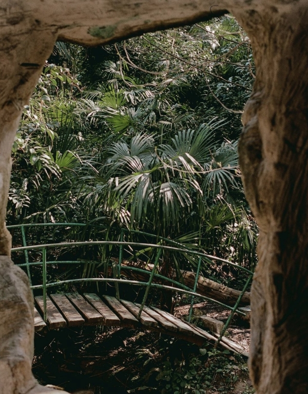 Медовый месяц в Сочи: где остановиться и