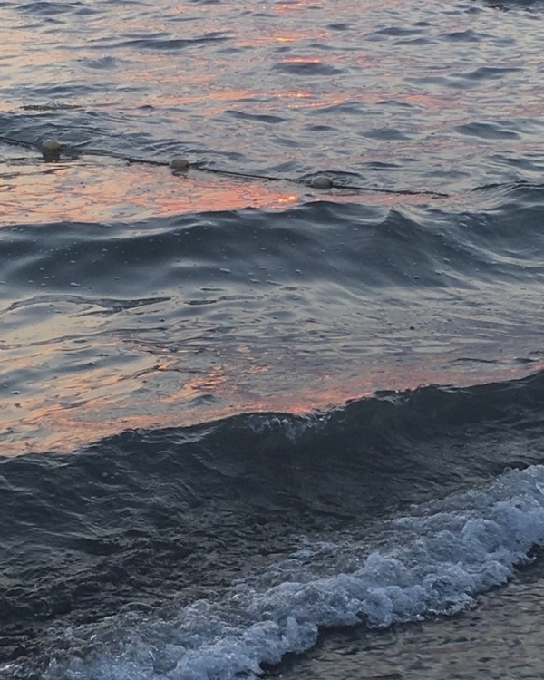 Медовый месяц в Сочи: где остановиться и