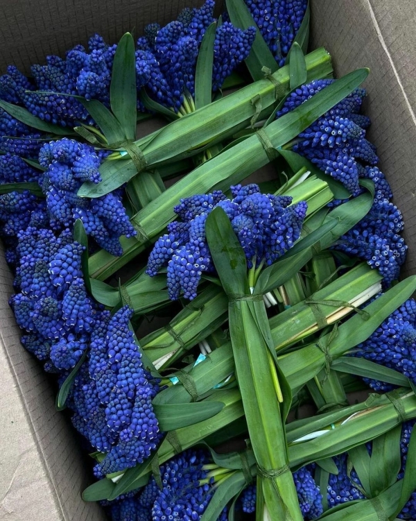 Как провести длинные майские выходные в Москве?