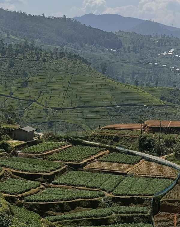 Топ-7 направлений для медового месяца