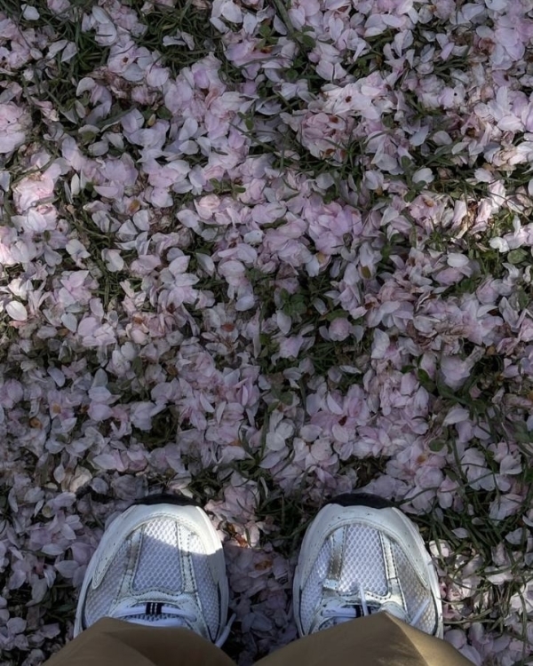 Как провести длинные майские выходные в Москве?