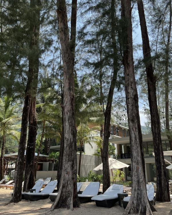 Топ-7 направлений для медового месяца