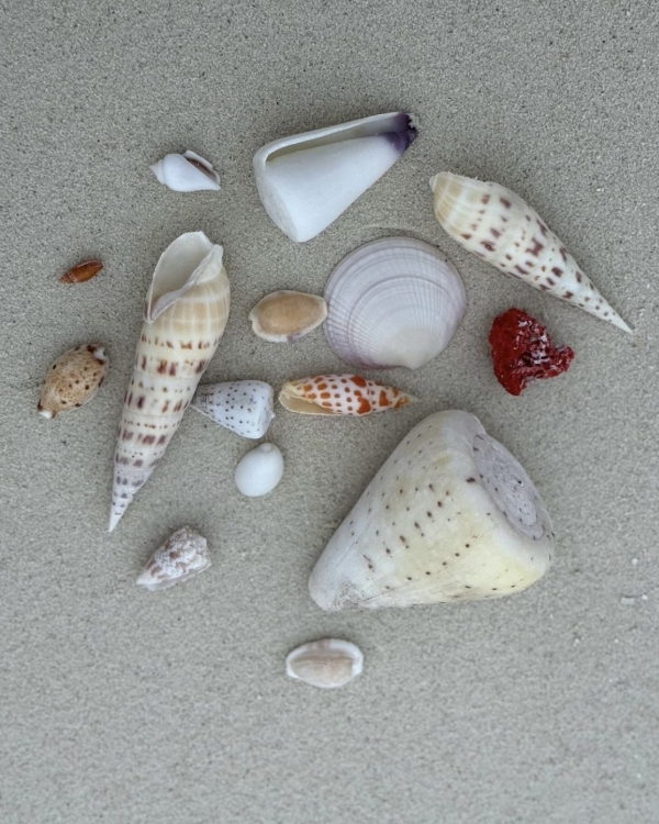 Как правильно спланировать медовый месяц?