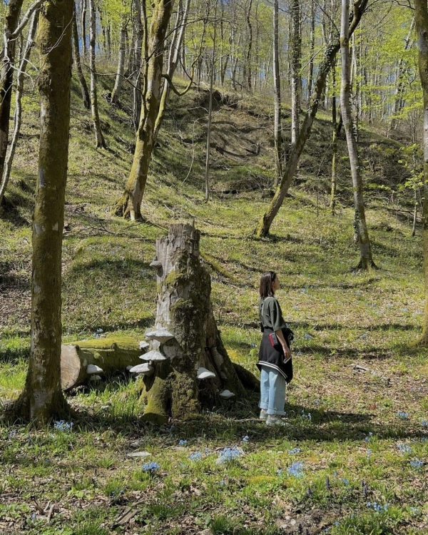 Сочи в мае 2024. Где жить, есть